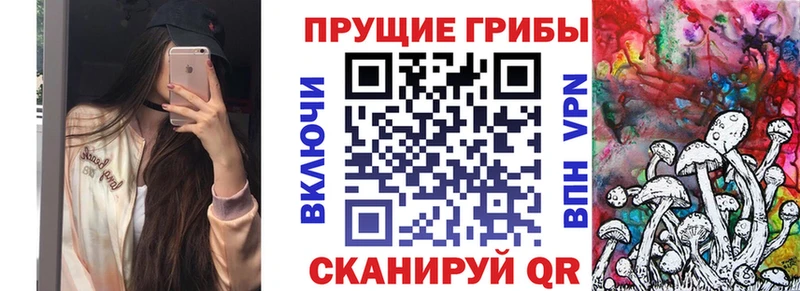 OMG рабочий сайт  Лермонтов  Псилоцибиновые грибы Cubensis  мориарти клад  цена  